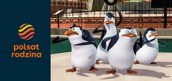 Pingwiny z Madagaskaru S3E13 - Tunel miłości / Idealny dzień