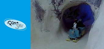 Pingu at the Wedding Party