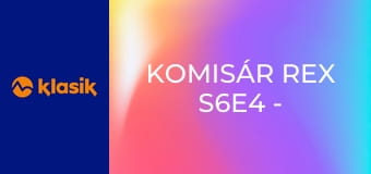 Komisár Rex S6E4 - Honba za večným životom