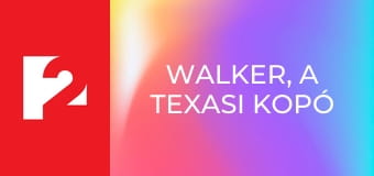 Walker, a texasi kopó S1E19 - A géprablás