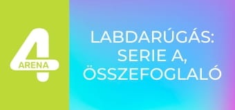 Labdarúgás: Serie A, összefoglaló - 13. forduló