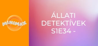 Állati detektívek S1E34 - Kaméleon-kalamajka Állati detektívek S1E34 - Kaméleon-kalamajka