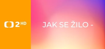 jak se žilo - Jak se žilo na hradu Münzenberg v roce 1218