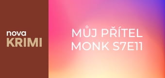 Můj přítel Monk S7E11 - Pan Monk na vozíčku