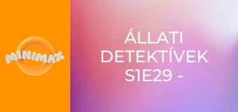 Állati detektívek S1E29 - Züzi, a süni Állati detektívek S1E29 - Züzi, a süni