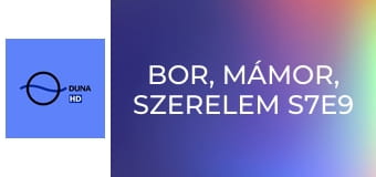 Bor, mámor, szerelem S7E9