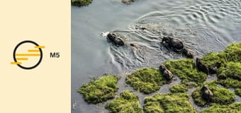 A világ madártávlatból - Egyesült Államok – Az Atlanti-óceántól a Csendes-óceánig