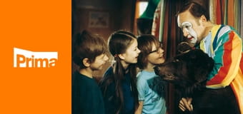 Šest medvědů s Cibulkou