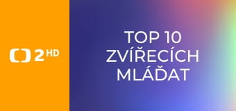TOP 10 zvířecích mláďat - Nejsilnější