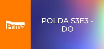 Polda S3E3 - Do střehu!