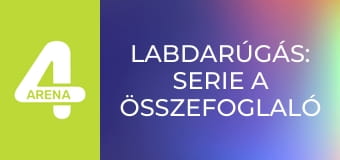 Labdarúgás: Serie A összefoglaló - 28. forduló