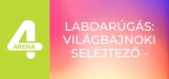 Labdarúgás: Világbajnoki selejtező - Ukrajna – Svédország