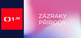 Zázraky přírody