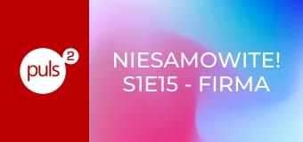 Niesamowite! S1E15 - Firma na sprzedaż