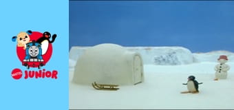 The Pingu Show Sezon 1 Episod 59