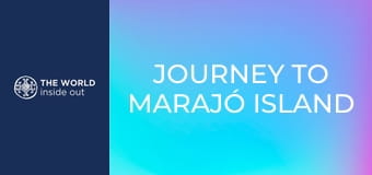 Utazás Marajó szigetére és a mangrove rákvadászat. Brazília.