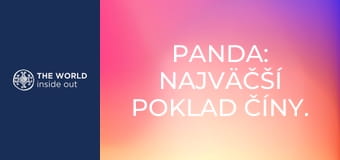 Panda: najväčší poklad Číny. Život v horskej dedine. Čína.
