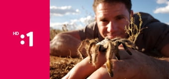 60 zabijakov divočiny E7 - Austrália