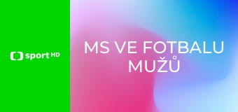 MS ve fotbalu mužů