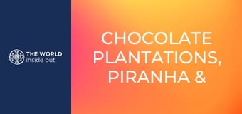 Čokoládové plantáže, lov piraní a krokodílov. Bolívia.