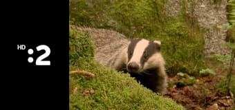 Byť tak zvieratkom E26 - Žirafa