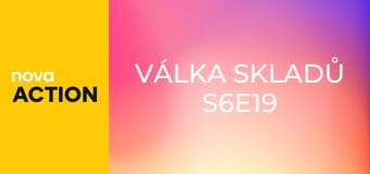 Válka skladů S6E19