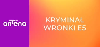Kryminał Wronki E5