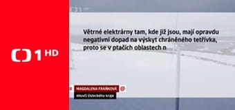 Fenomén doby - Krása z kliniky