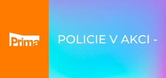 Policie v akci - Zásahovka Havlík / Kasírka a auto I / Kasírka a auto II