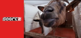 Cselgáncs - 3. nap, Grand Slam-verseny, Tbiliszi, premier, élő, HD