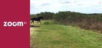 Dzika przyroda na żywo S1E9