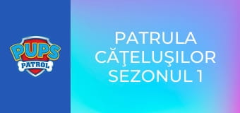 Patrula căţeluşilor Sezonul 1 Episodul 8