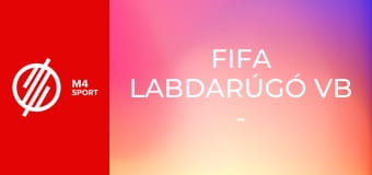 FIFA labdarúgó vb - háttértörténetek
