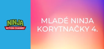Mladé ninja korytnačky 4. séria, 22. časť