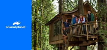 Odborníci na domy v korunách stromů S3E14 - Jedinečné domy v korunách III