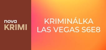 Kriminálka Las Vegas S6E8 - Letí tudy střela 2. část