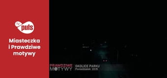 Prawdziwe motywy Sezon 1 Odcinek 3 - Kochająca matka