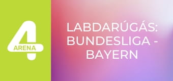 Labdarúgás: Bundesliga - Bayern München – Union Berlin