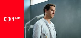 Každý den se rodí život - Silvestr