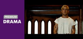 Za borovicovým hájom