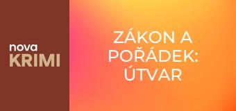 Zákon a pořádek: Útvar pro zvláštní oběti S26E10 - Univerzální klíč