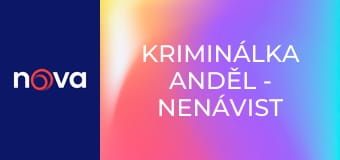 Kriminálka Anděl - Nenávist