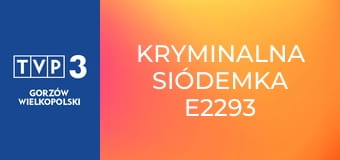 Kryminalna siódemka E2293