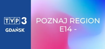 Poznaj region E14 - Zamek Świny