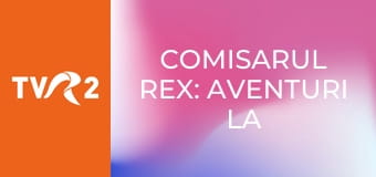 Comisarul Rex: aventuri la Viena E95