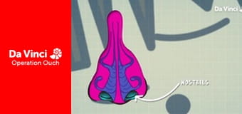 Operation Ouch! - Revisiting the Cough - The Best Bits Operation Ouch! - Revisiting the Cough - The Best Bits