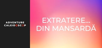 Extratereștrii din mansardă