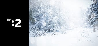 Prechádzka zimným rajom