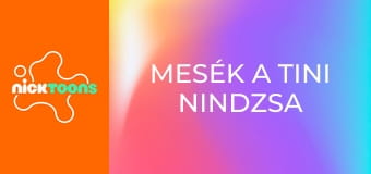 Mesék a tini nindzsa teknőcökről S1E9 - Szecska és April küzdelme az aranyhallal Mesék a tini nindzsa teknőcökről S1E9 - Szecska és April küzdelme az aranyhallal
