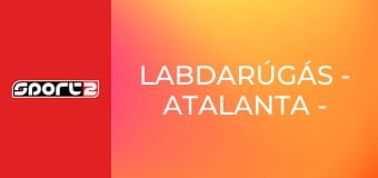 Labdarúgás - Atalanta - Bayern München